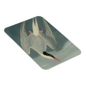 Magnet Flexible Terne arctique (Côté Droit)