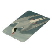 Magnet Flexible Terne arctique (Côté Gauche)