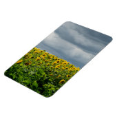 Magnet Flexible Terrain de tournesol. (Côté Gauche)