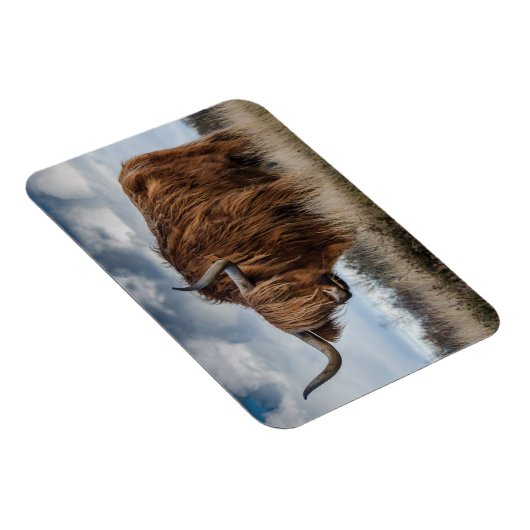 Magnet Flexible Terre-Neuve (Côté Droit)