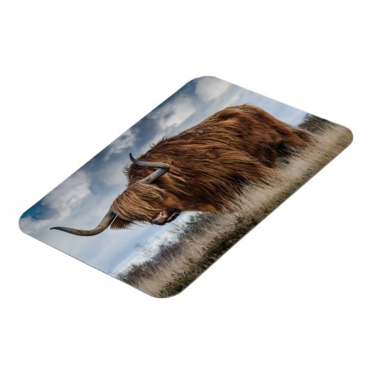 Magnet Flexible Terre-Neuve (Côté Gauche)