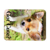Magnet Flexible T'es mignonne ? Chiot (Horizontal)