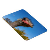 Magnet Flexible Tête d'autruche (Côté Droit)