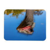 Magnet Flexible Tête d'autruche (Horizontal)