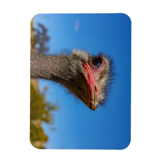 Magnet Flexible Tête d'autruche (Vertical)