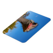 Magnet Flexible Tête d'autruche (Côté Gauche)