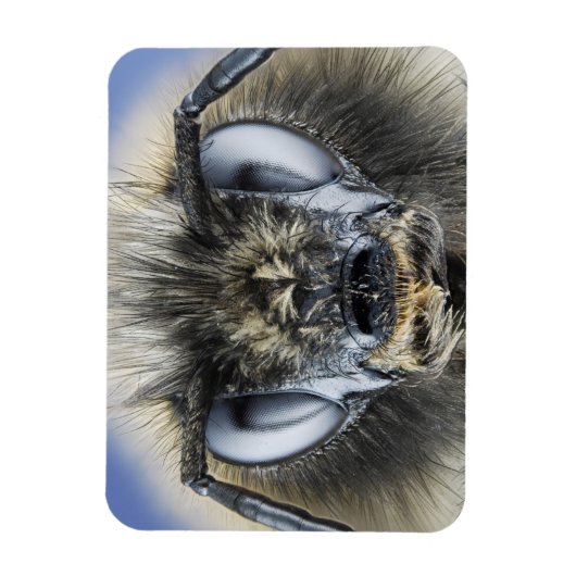 Magnet Flexible Tête de bourdon (Vertical)