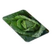 Magnet Flexible Tête de choux bio frais (Côté Droit)