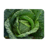 Magnet Flexible Tête de choux bio frais (Horizontal)