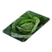 Magnet Flexible Tête de choux bio frais (Côté Gauche)