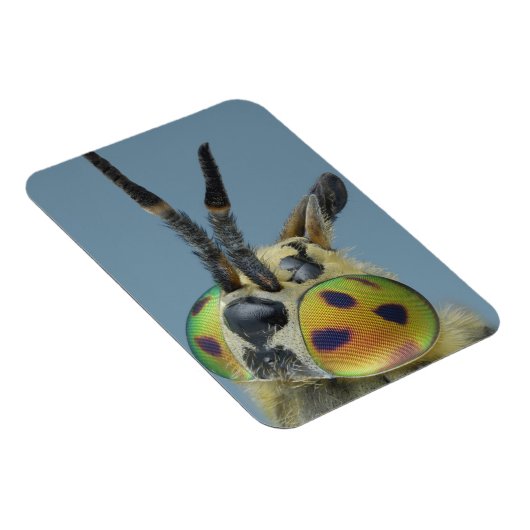 Magnet Flexible Tête de mouche de cerf (Côté Droit)