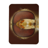 Magnet Flexible Tête et yeux composés d'une mouche (Vertical)