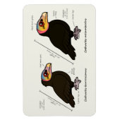 Magnet Flexible Tête jaune Grand v Petit (Vertical)