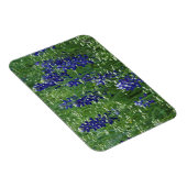 Magnet Flexible Texas, Lac Buchanan. Texas Bluebonnet et Wild (Côté Droit)
