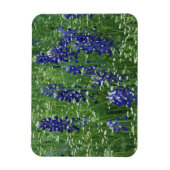 Magnet Flexible Texas, Lac Buchanan. Texas Bluebonnet et Wild (Vertical)