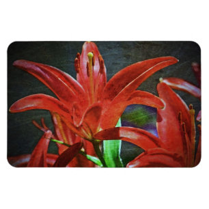 Magnet Flexible Texture de Lily-rouge par Shirley Taylor