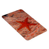 Magnet Flexible Thaïlande, étoile de mer (Côté Droit)