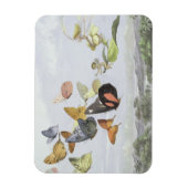 Magnet Flexible The Fairy Queen's Carriage | Elf World (Vertical)