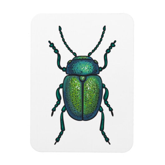 Magnet Flexible The tansy beetle (Vertical)