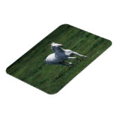 Magnet Flexible Thoroughbred Mare (Côté Gauche)