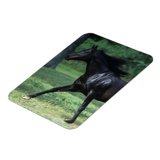 Magnet Flexible Thoroughbred Running (Côté Gauche)