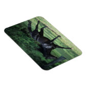 Magnet Flexible Thoroughbred Running (Côté Droit)