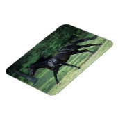 Magnet Flexible Thoroughbred Running (Côté Gauche)