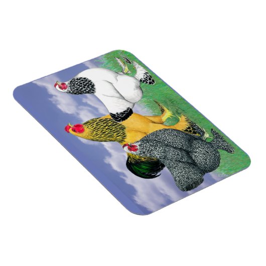 Magnet Flexible Three Brahmas (Côté Droit)