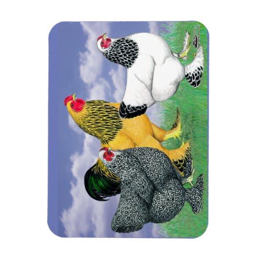 Magnet Flexible Three Brahmas (Vertical)