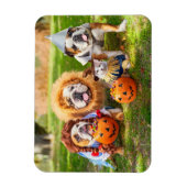 Magnet Flexible Three Bulldogs in Costumes (Vertical)