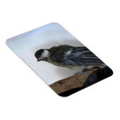 Magnet Flexible Tidi my Bird le Parus Major (Côté Droit)