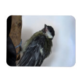 Magnet Flexible Tidi my Bird le Parus Major (Horizontal)