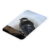 Magnet Flexible Tidi my Bird le Parus Major (Côté Gauche)