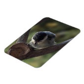 Magnet Flexible Tidi my Bird le Parus Major (Côté Gauche)