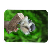 Magnet Flexible Tidi my Bird le Parus Major (Horizontal)