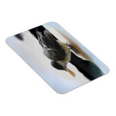 Magnet Flexible Tidi my Bird le Parus Major (Côté Droit)