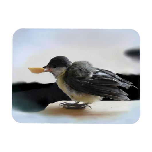 Magnet Flexible Tidi my Bird le Parus Major (Horizontal)
