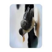 Magnet Flexible Tidi my Bird le Parus Major (Vertical)