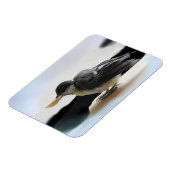 Magnet Flexible Tidi my Bird le Parus Major (Côté Gauche)