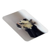 Magnet Flexible Tidi my Bird le Parus Major (Côté Droit)