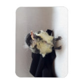 Magnet Flexible Tidi my Bird le Parus Major (Vertical)
