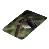 Magnet Flexible Tidi my Bird le Parus Major (Côté Gauche)