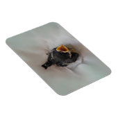 Magnet Flexible Tidi my Bird le Parus Major (Côté Droit)