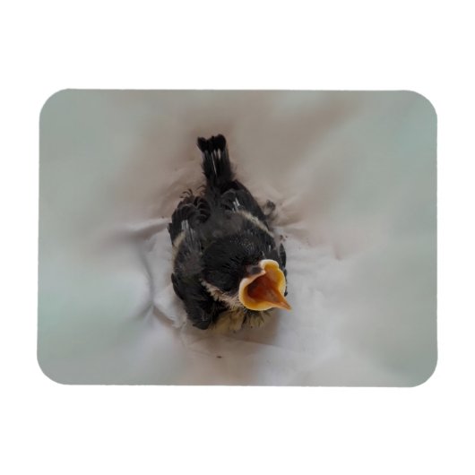 Magnet Flexible Tidi my Bird le Parus Major (Horizontal)