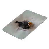 Magnet Flexible Tidi my Bird le Parus Major (Côté Gauche)