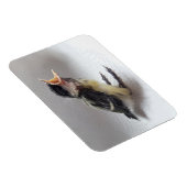 Magnet Flexible Tidi my Bird le Parus Major (Côté Droit)