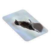 Magnet Flexible Tidi my Bird le Parus Major (Côté Droit)