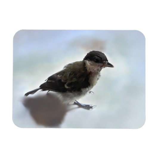 Magnet Flexible Tidi my Bird le Parus Major (Horizontal)