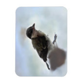 Magnet Flexible Tidi my Bird le Parus Major (Vertical)