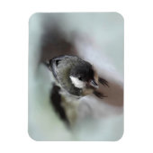 Magnet Flexible Tidi my Bird le Parus Major (Vertical)